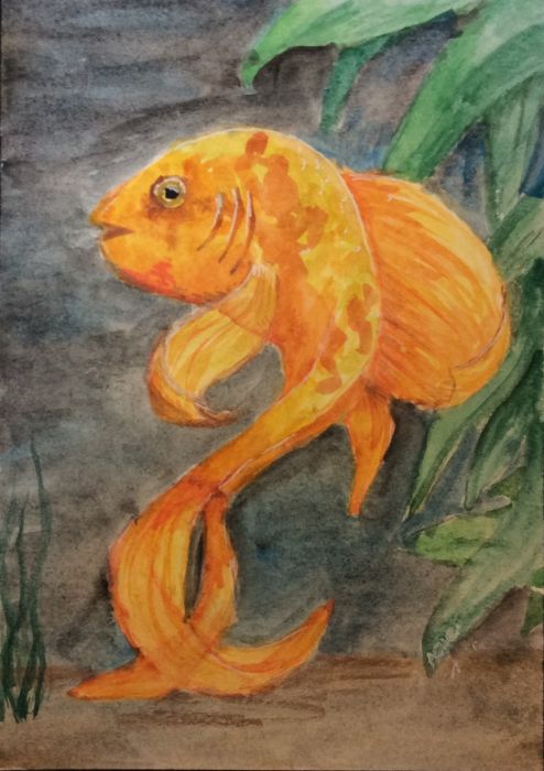 Dance of the fantail goldfish by Amy Sue Stirland